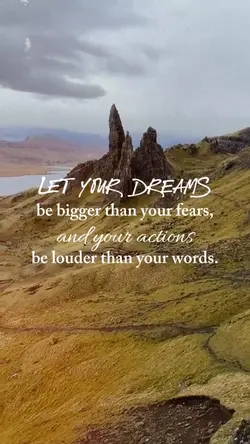 let your dreams...