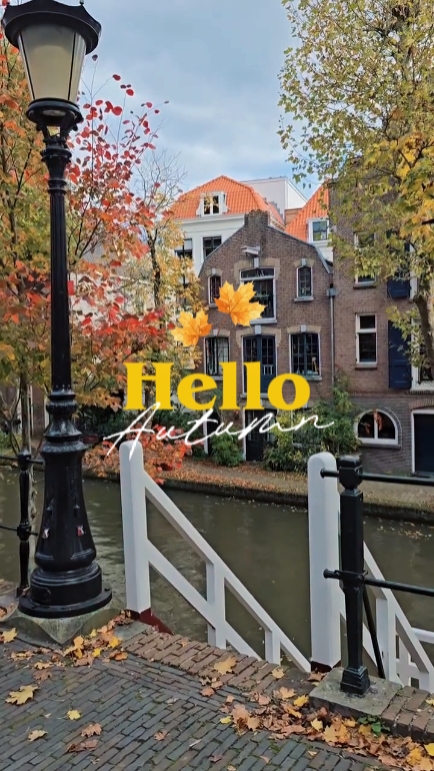 bonjour l'automne 