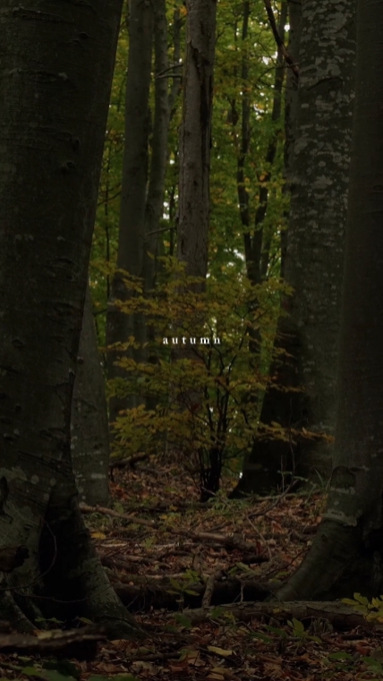 autumn