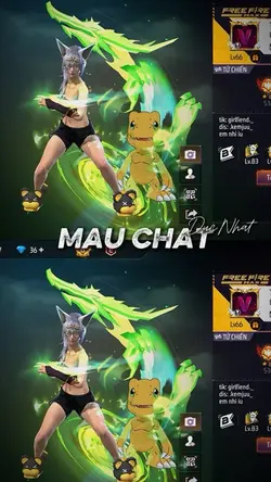 nhạc cuốn