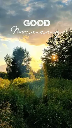 Good Morning