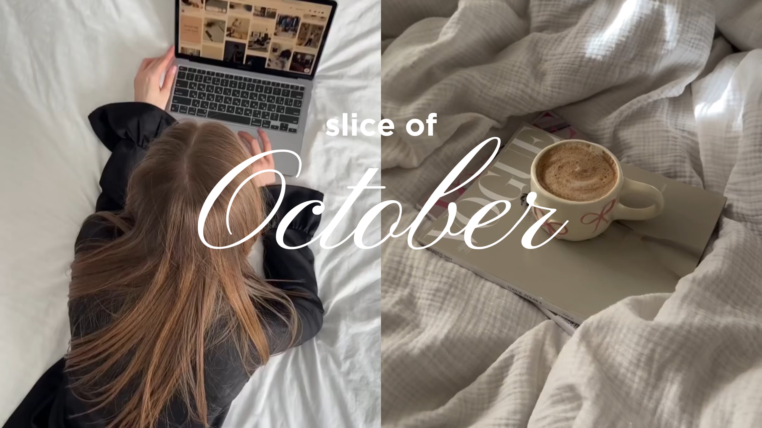 vlog intro 