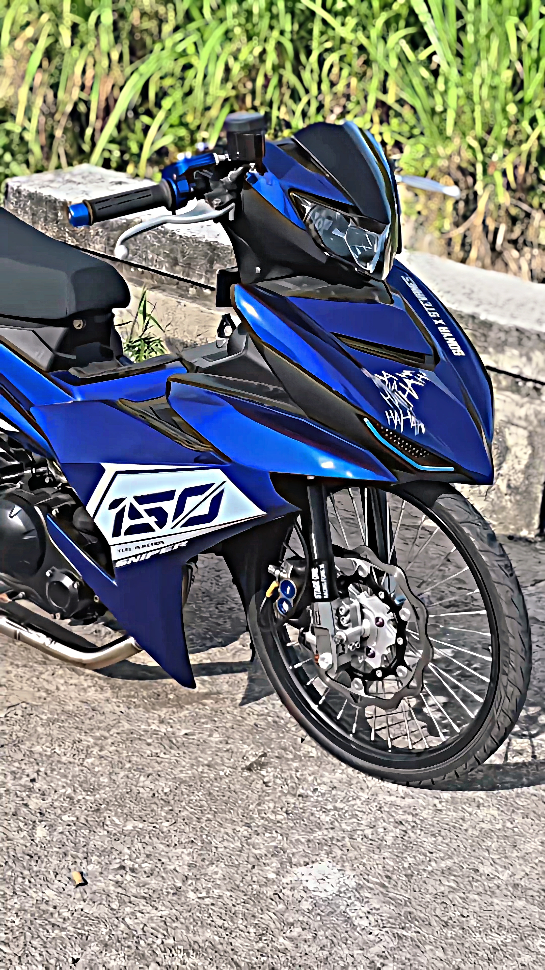 Cover Picture