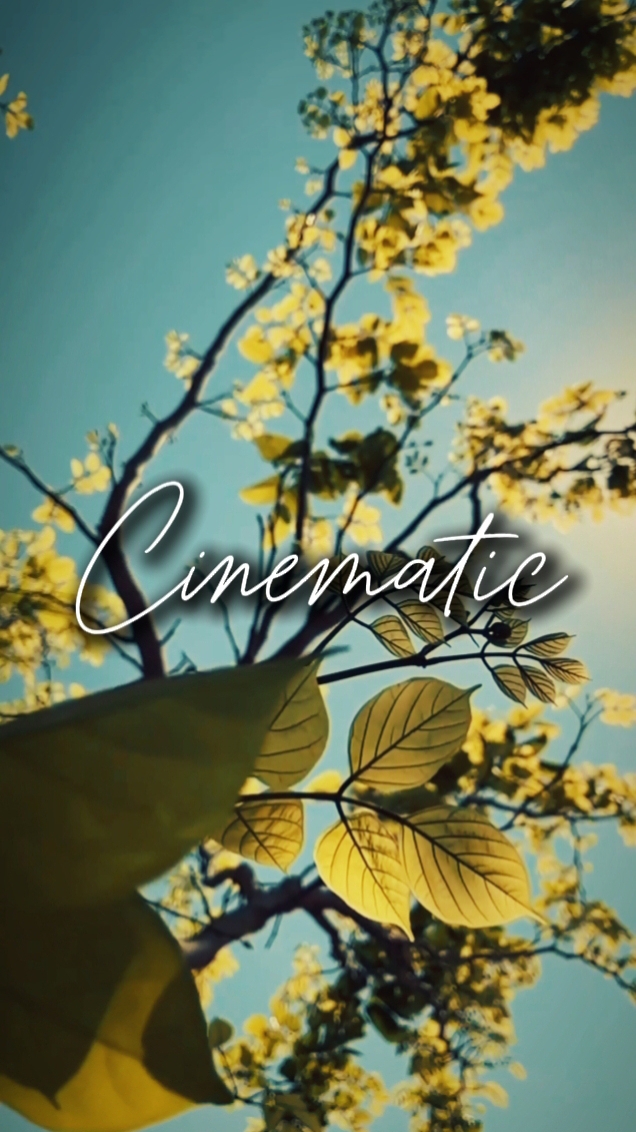 cinematic 5 clips 