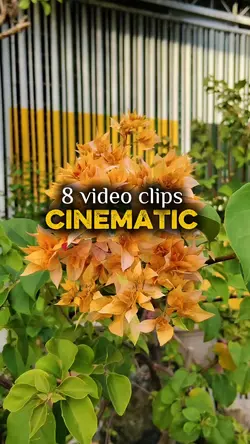 8 video cinematic 