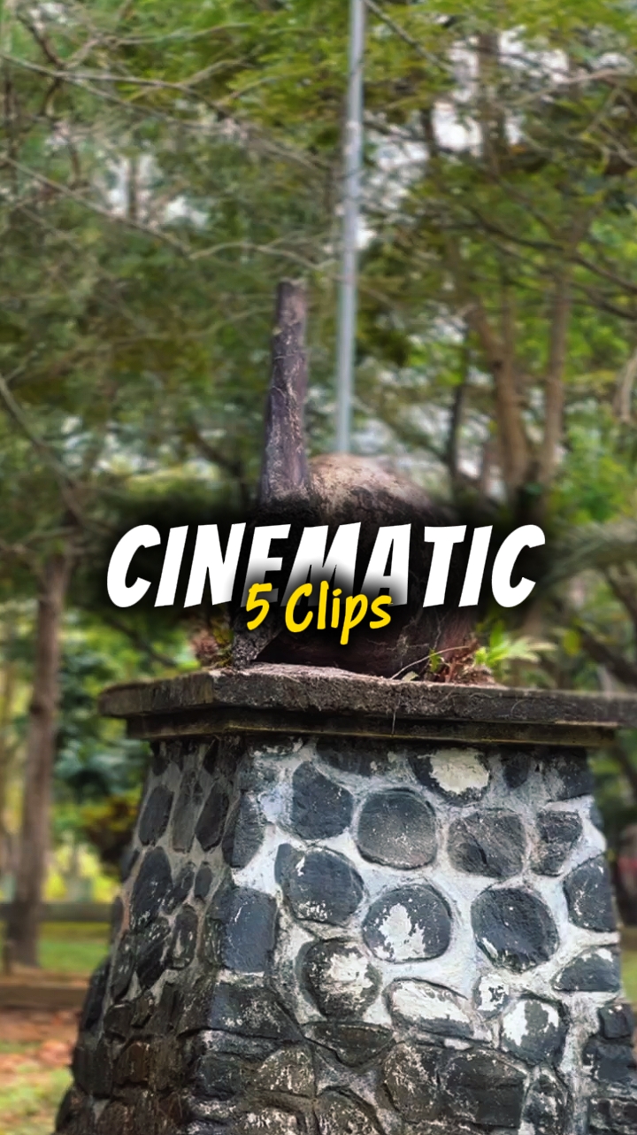 CINEMATIC 5 CLIPS