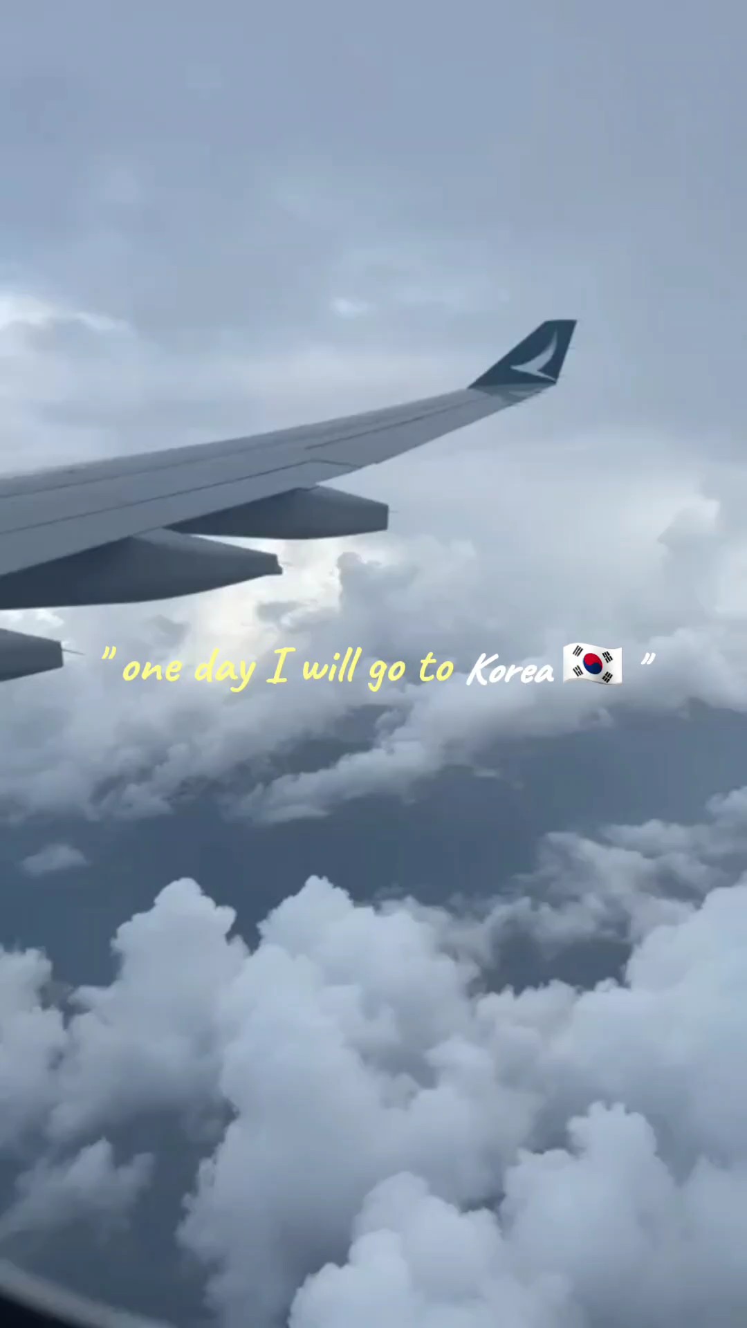 trip to korea