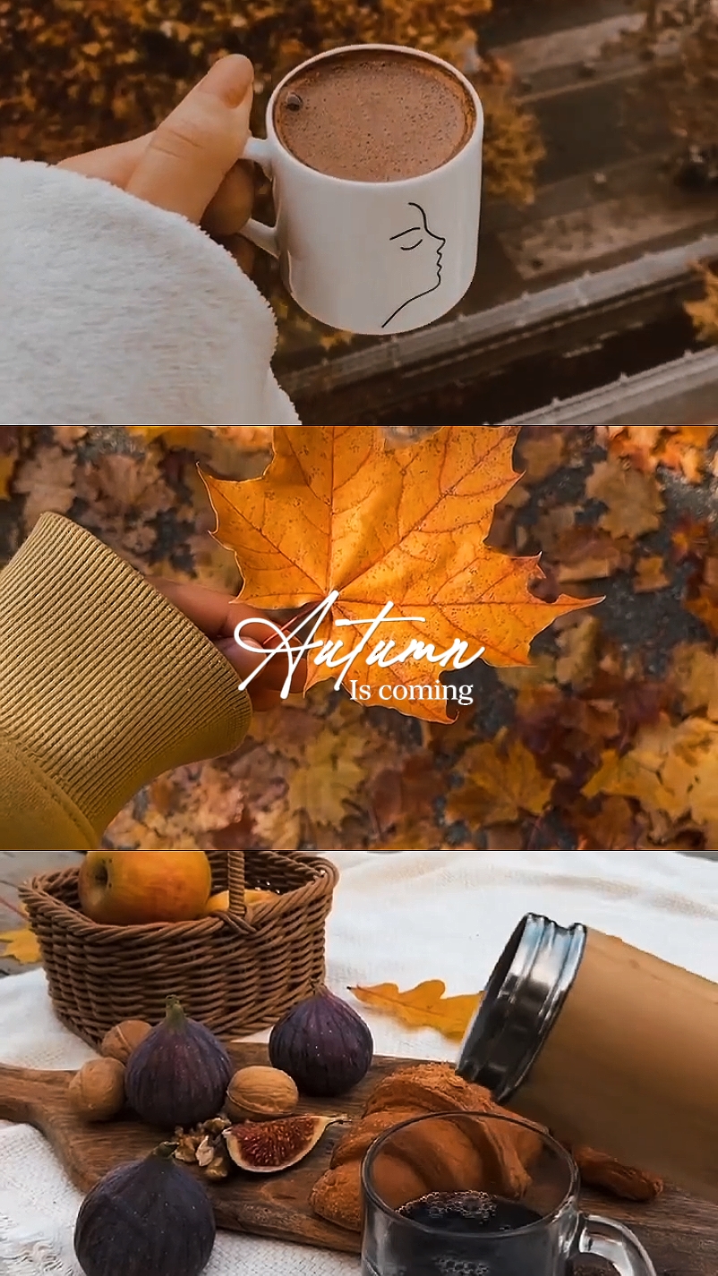 Autumn is coming
