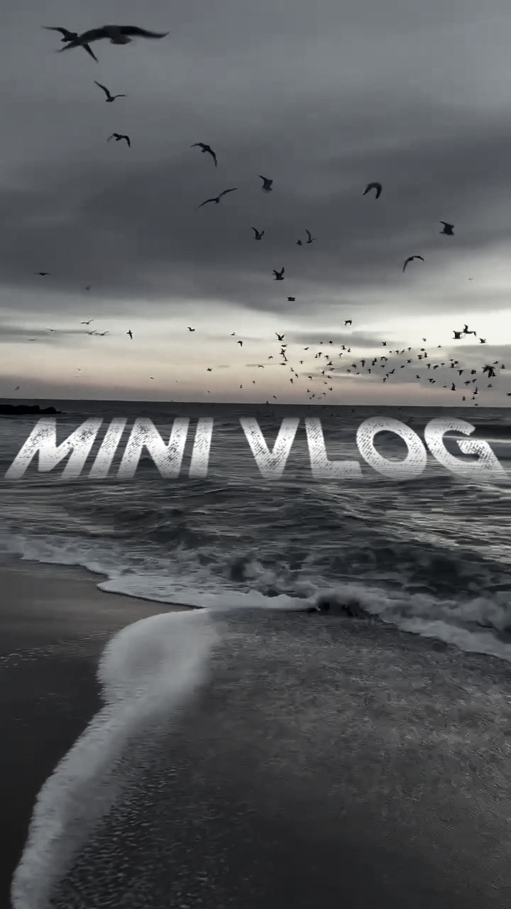 vlog mini