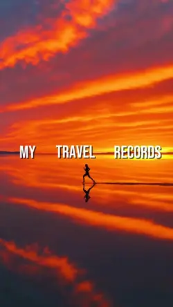 Travel record