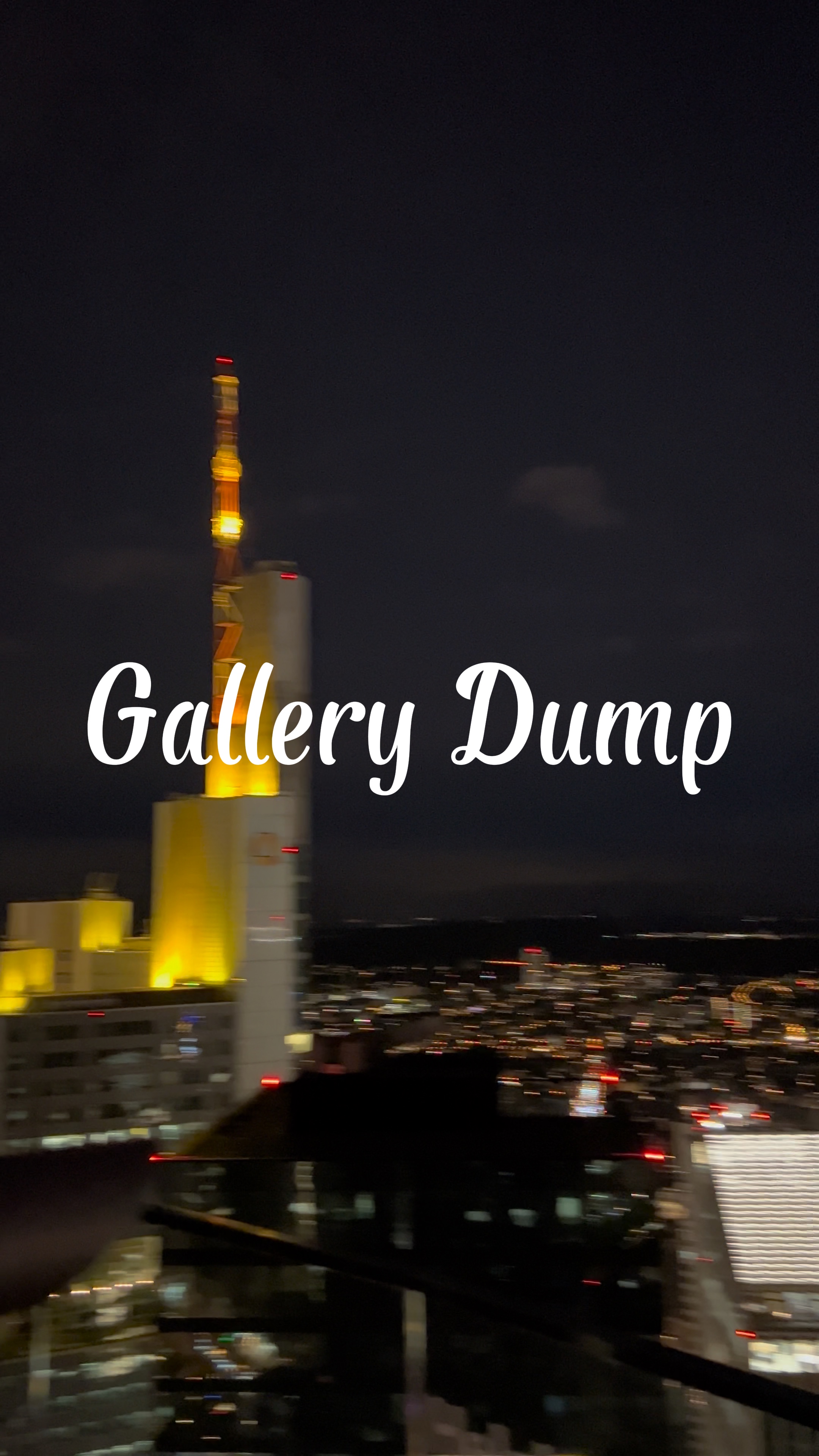 Galerie Dump