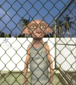 #dobby#trending#vira