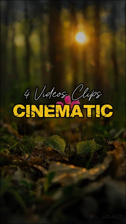 4 Videos Clips