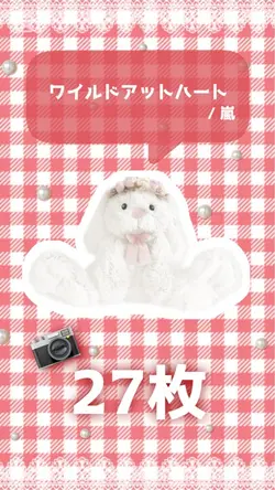 📷27枚´-