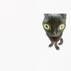 This is Gary