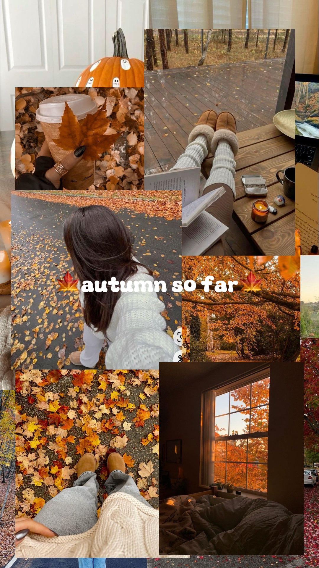 autumn so far🍁