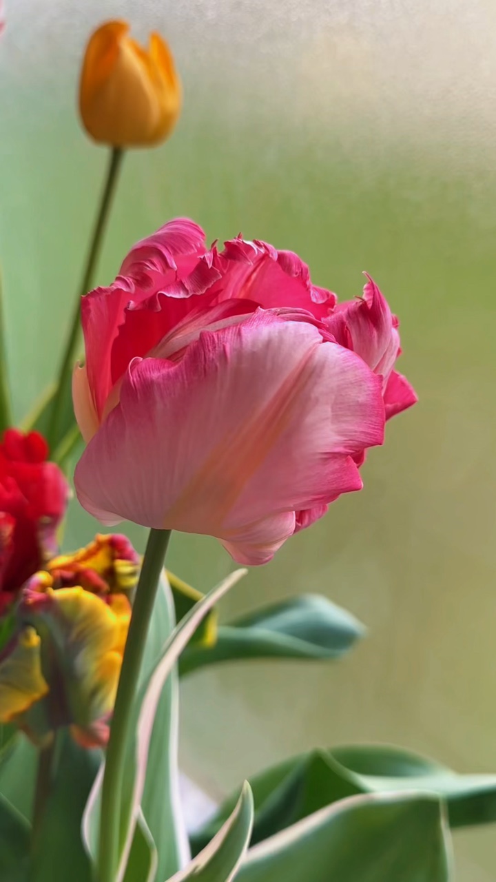 Spring and summer