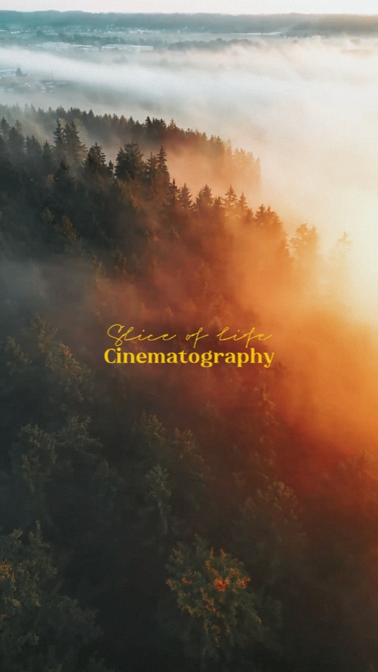 43/29 cinematography
