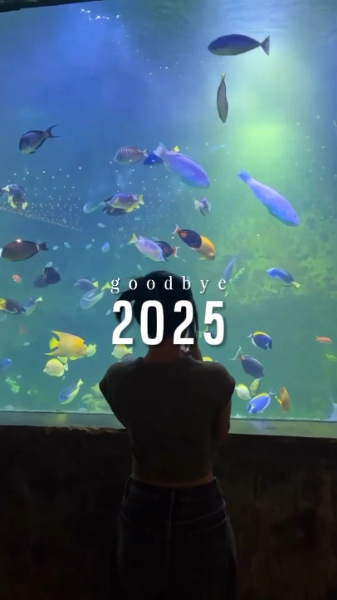 Selamat tinggal 2025