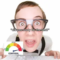 low cortisol 1:1