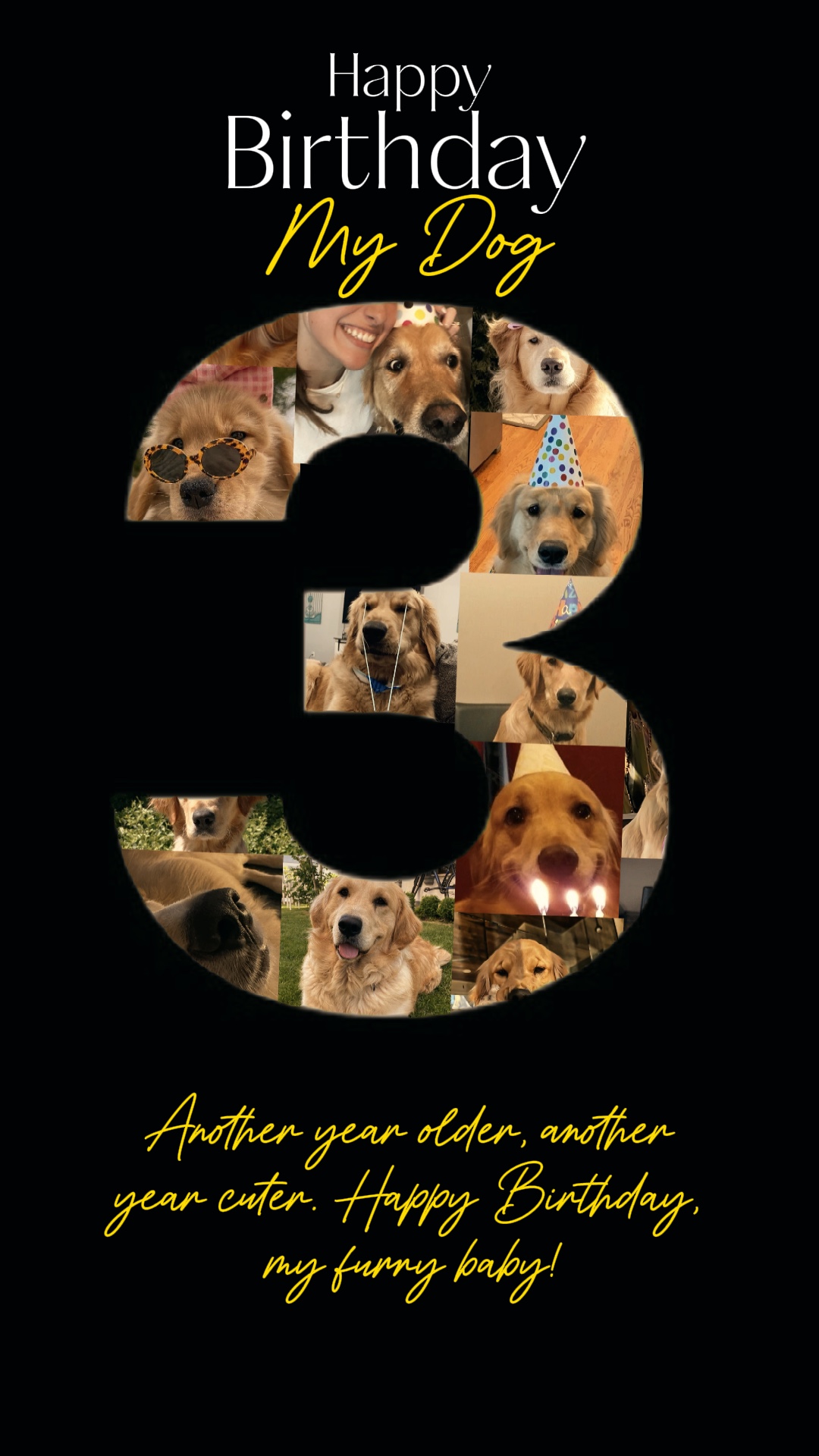 Alles Gute zum Geburtstag Hund 
