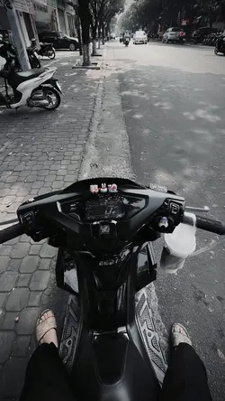 Trình Chiếu + Màu
