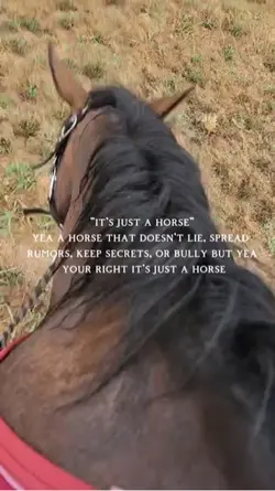 Just a horseโฆ