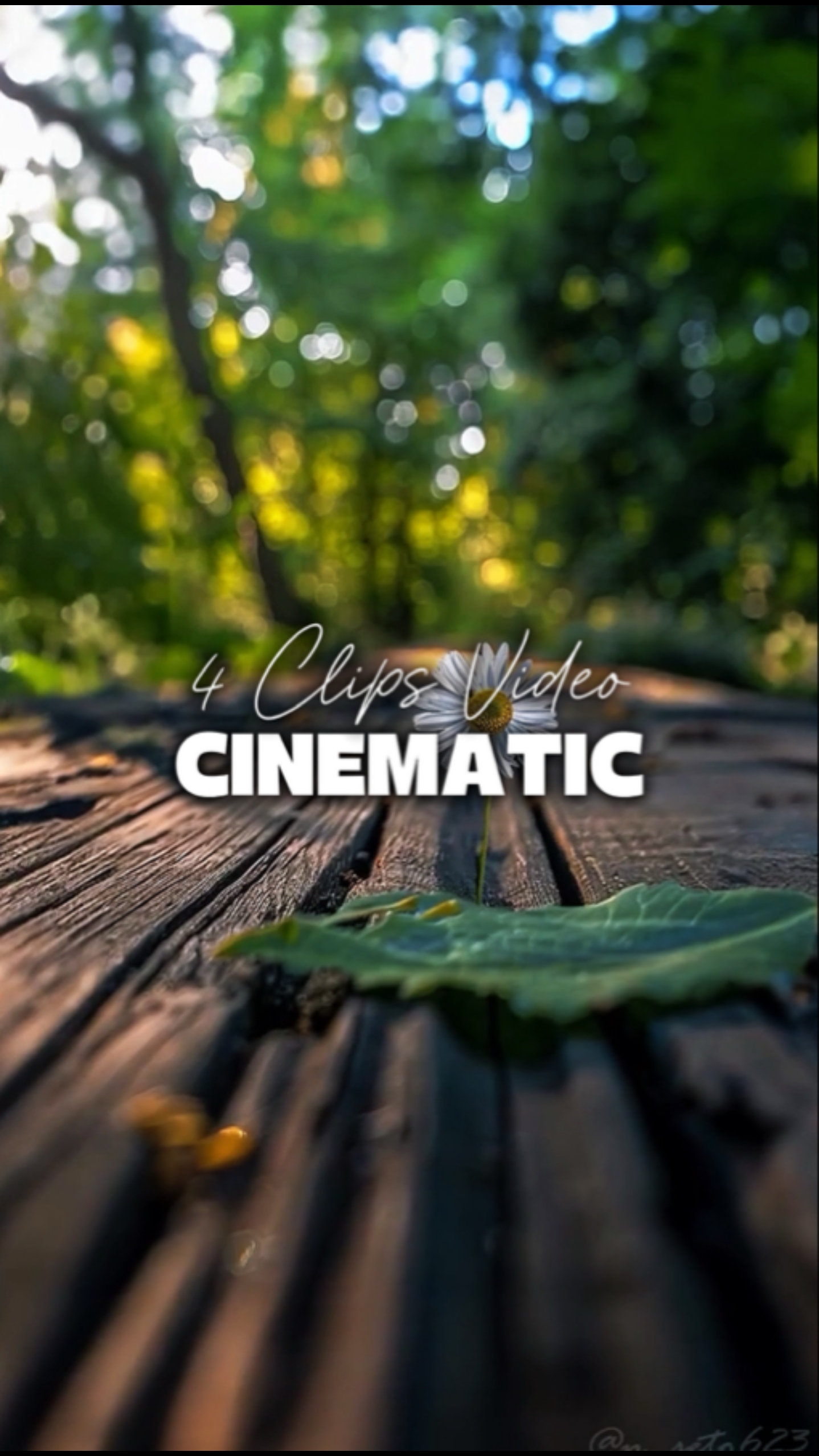4 Vídeos Cinematográficos 