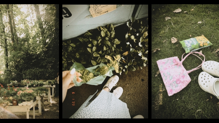 3 pict aesthetic