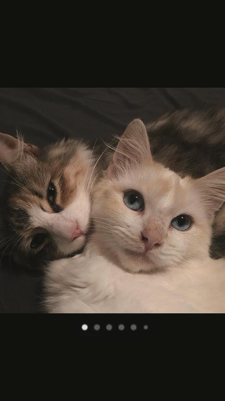 slayt gösterisi fotoğrafı