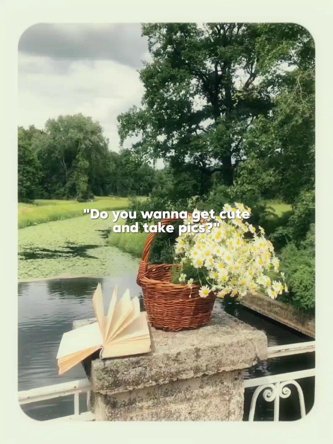 cute pics and vid