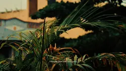 retro cinematic
