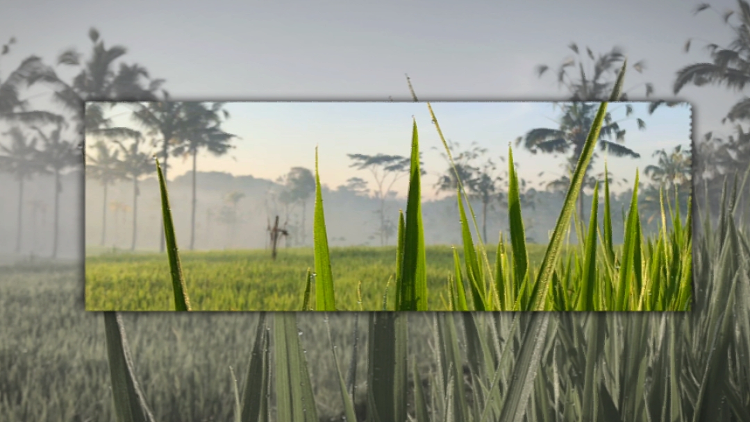 Tendência Cinematográfica 