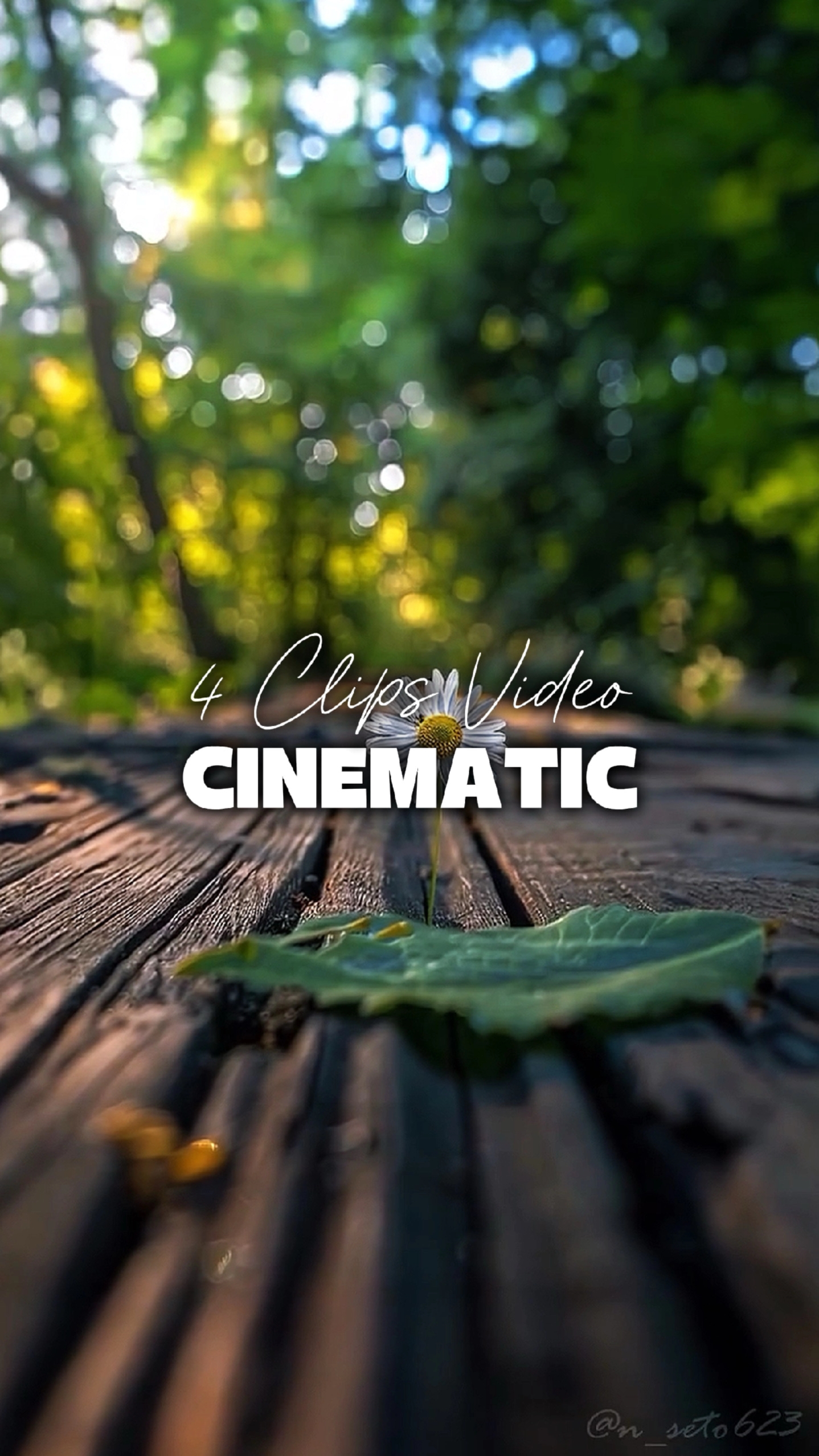 4 Videos Cinemáticos