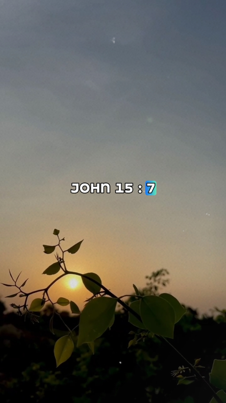 João 15: 7