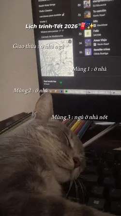 Lịch chơi tết 2026