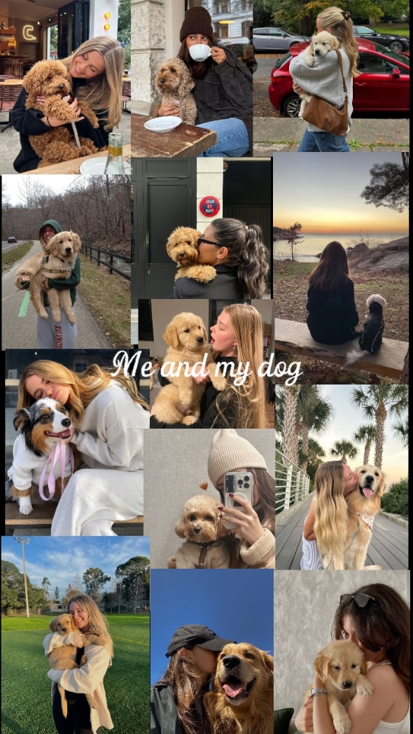 My dog