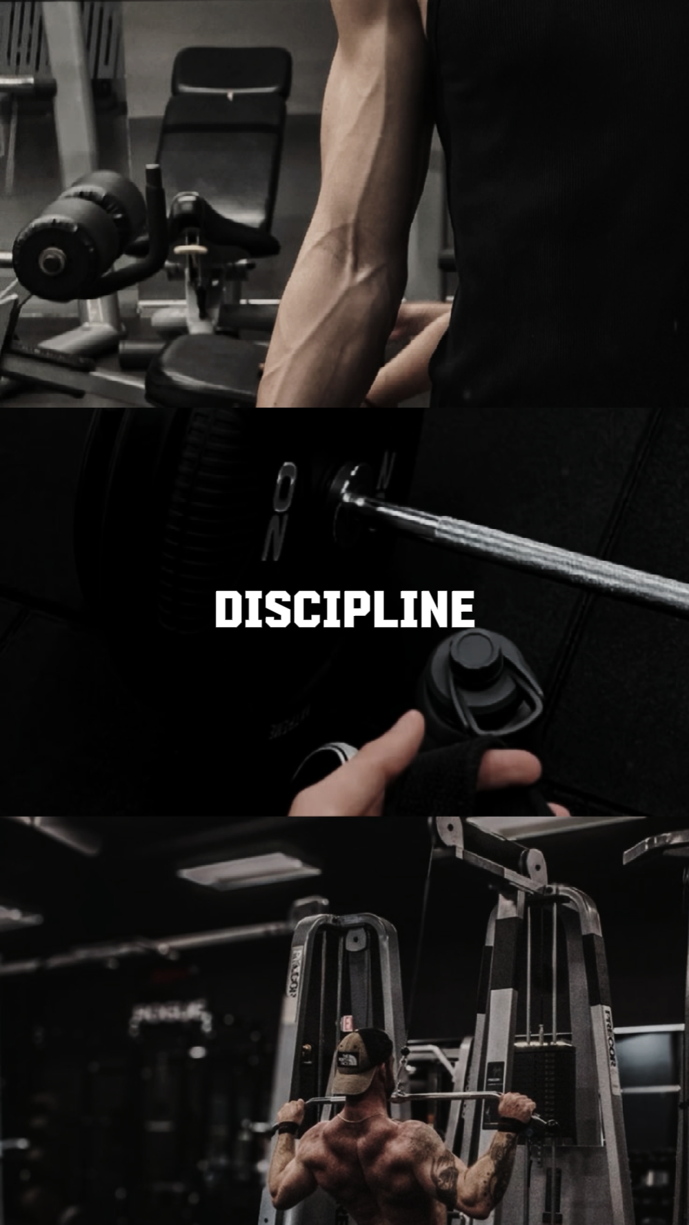 Estética de gimnasio 