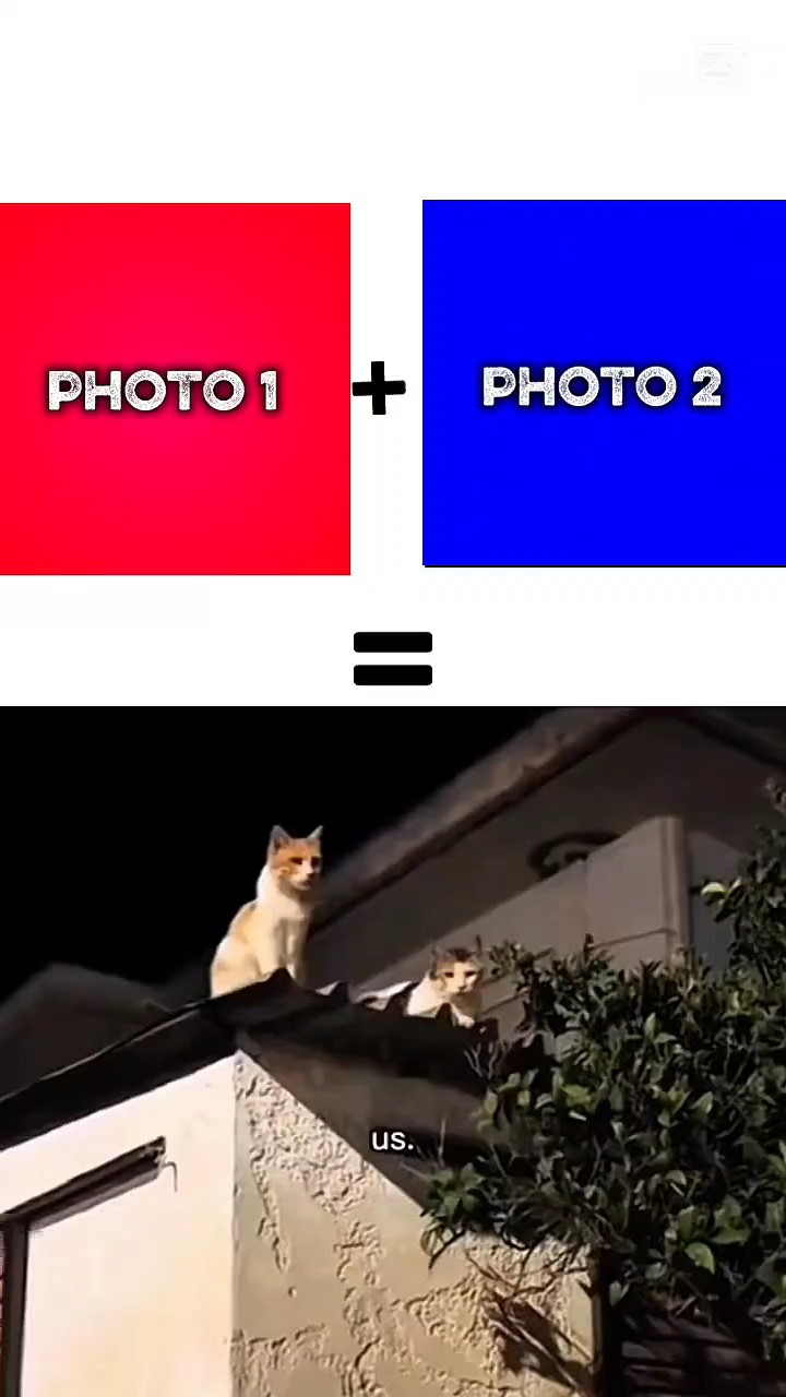 NOUVEAU MODÈLE VIRAL