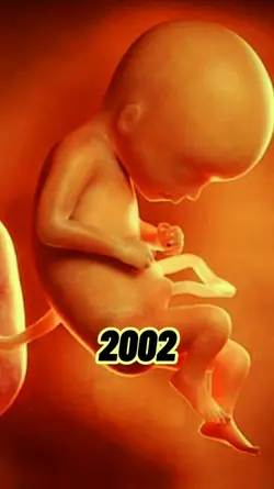 2002 vs 2026