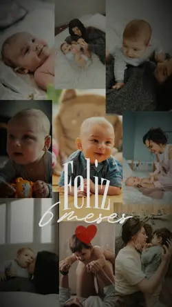 6 meses