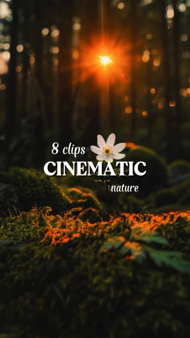 CINEMATIC NATURE
