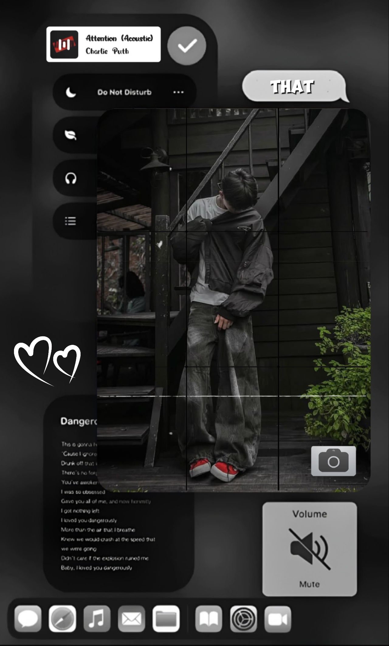 Cover Picture