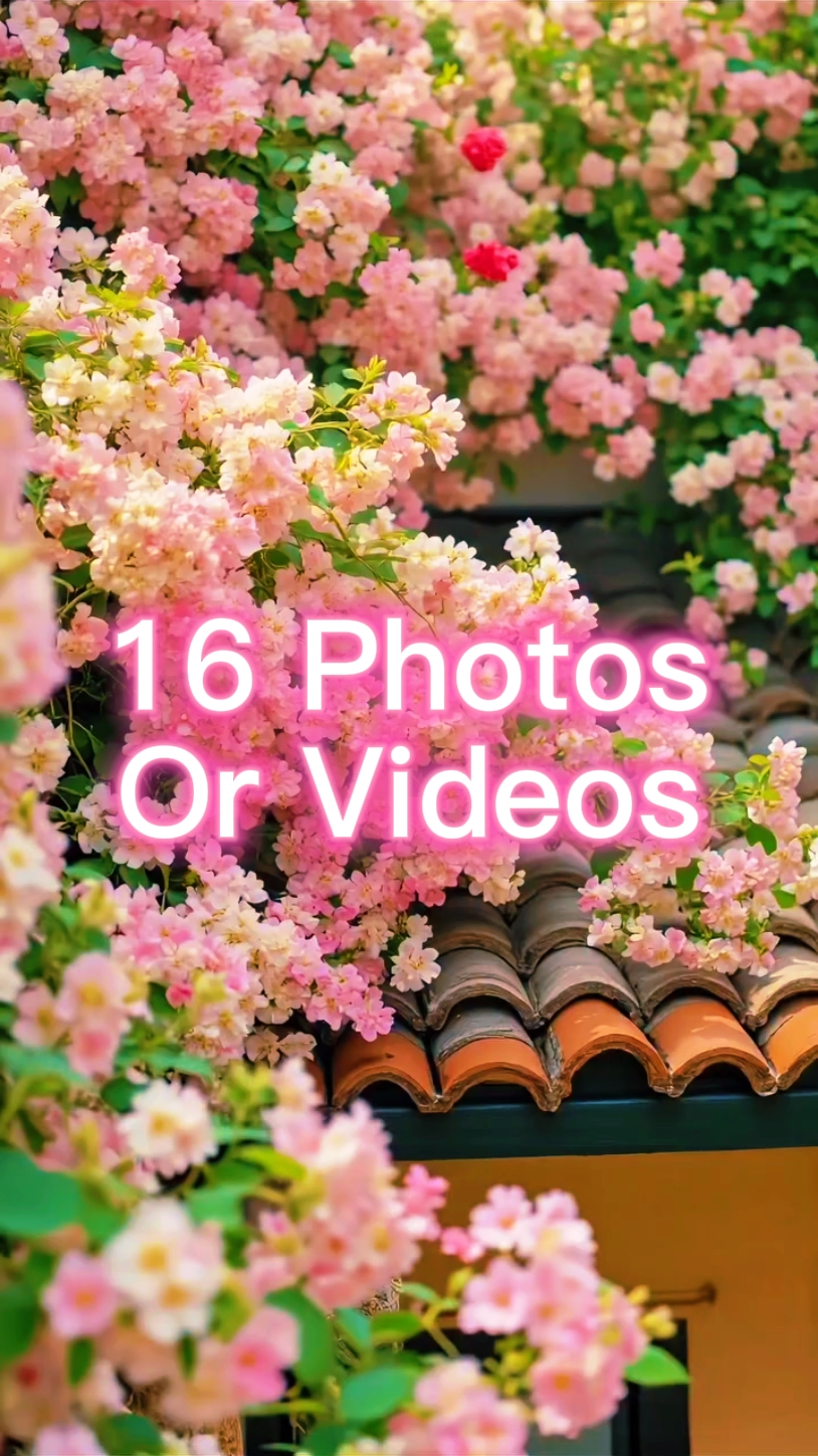 16 Diapositivas de fotos
