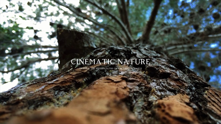 Cinematic Nature