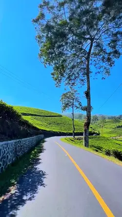 6 video HD travel