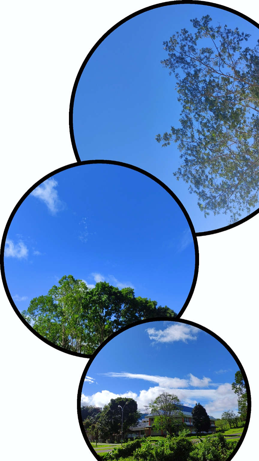3 Frame Aesthetic