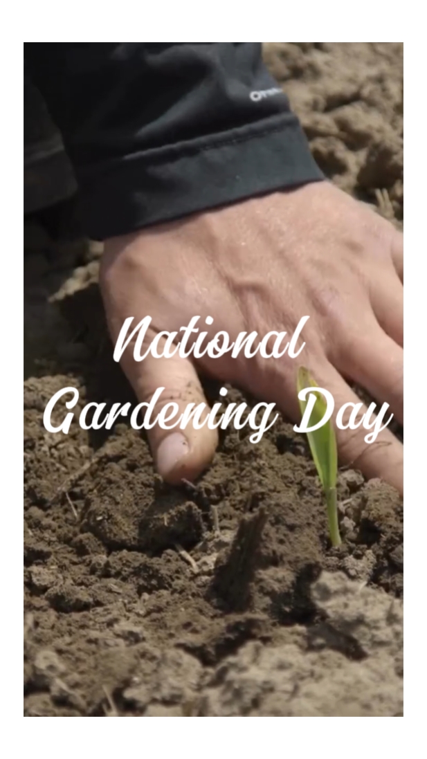 Gardening Day