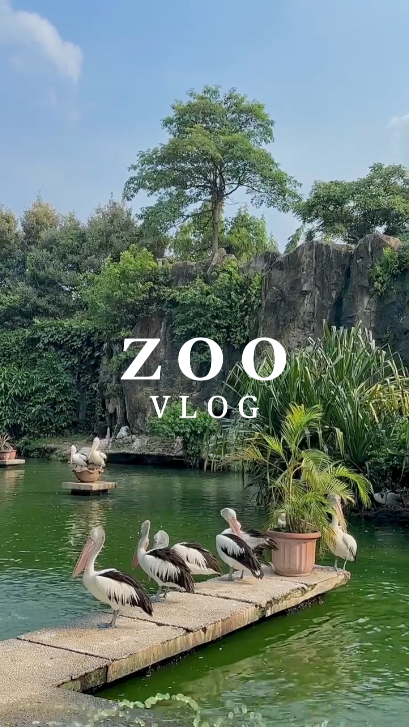 Zoo Vlog