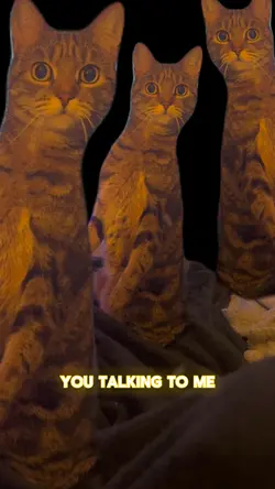 You talking to me?